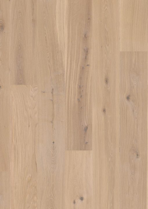 1e1fd223 1128 4235 8897 0485c9728123 GRD 10036337 EIGV4MFD Oak Animoso white Castle plank