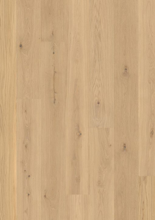 7568b782 374d 47e1 adb7 562dfe058d54 GRD 10036262 EBGV43FD Oak Animoso plank Castle LP