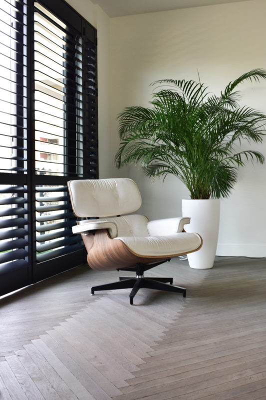 1729AA13 2F00 4C9F 97C7 DB4B51ADBAA5 scaled