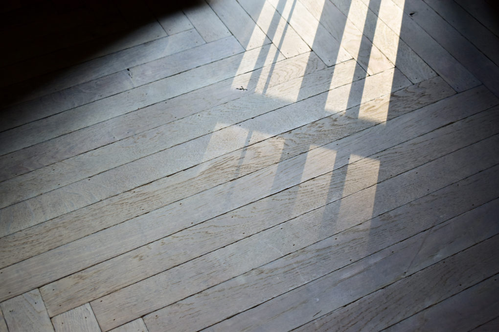 B2E53149 C88D 4359 BB20 C517AE8BFDE7 scaled