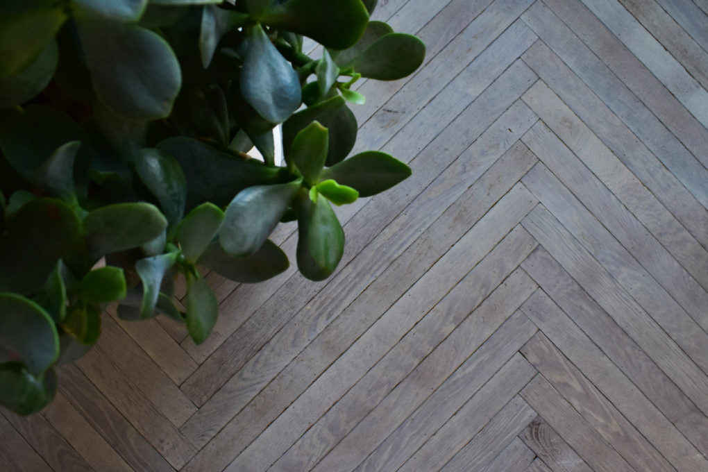 C45BD852 269E 49B5 AB0F 3BFEF7525E24 scaled