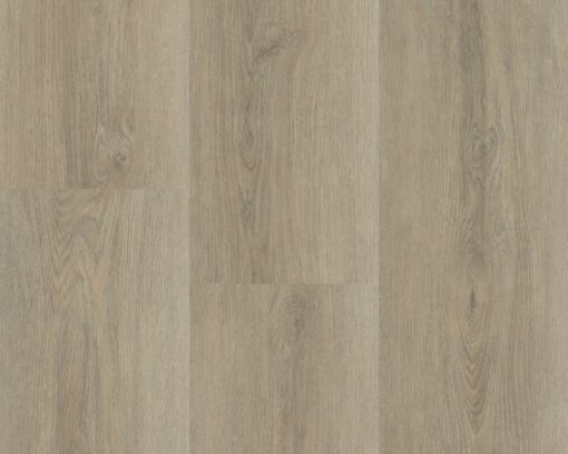 Charente Lange plank 5445 (2) (1)