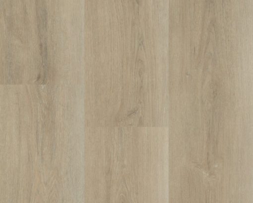 Charente Lange plank 5447 (2) (1)