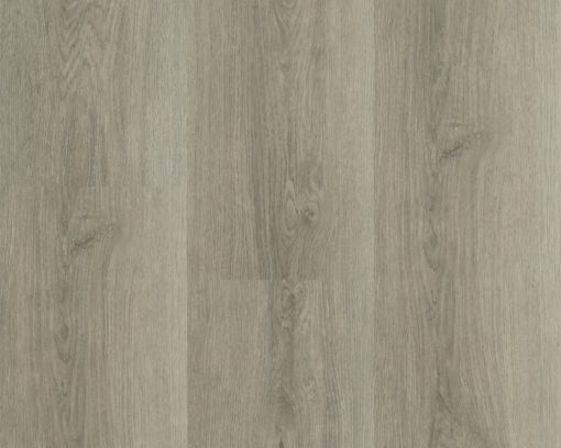 Charente Lange plank 5458 (2) (1)