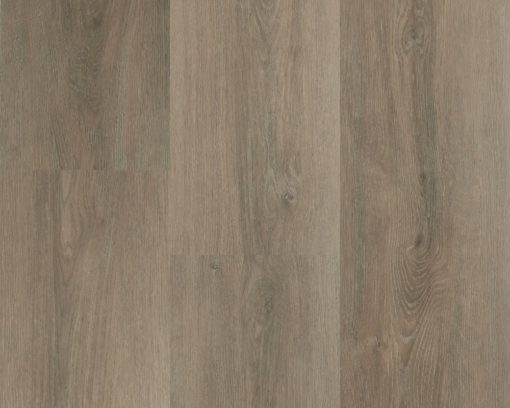 Charente Lange plank 5461 (2) (1)