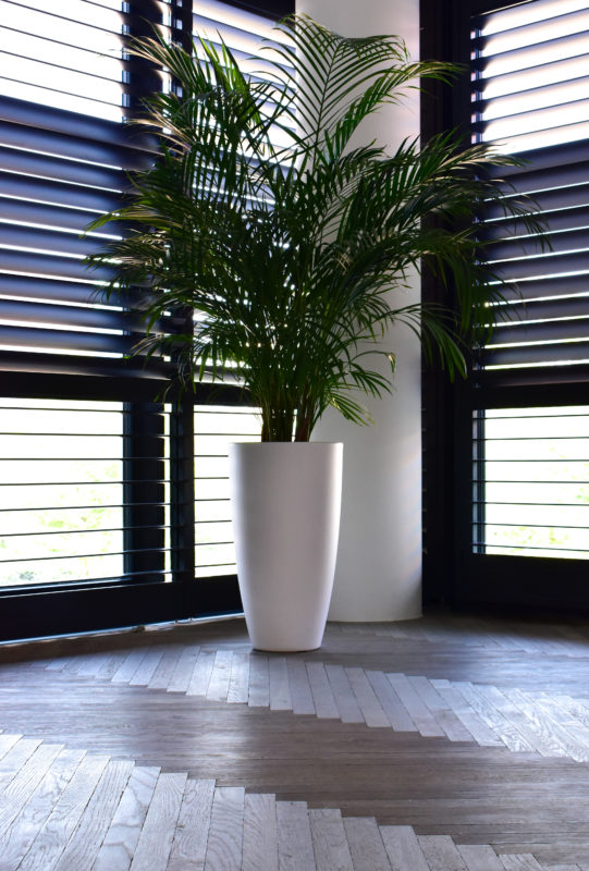 DA7D27B6 AE2F 4F52 B947 402B6A3A7FDF scaled