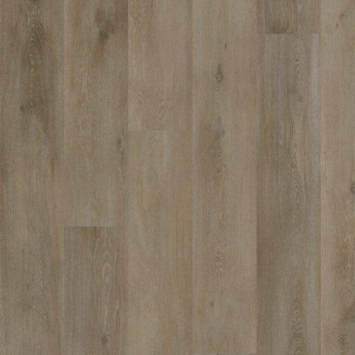 costance plank