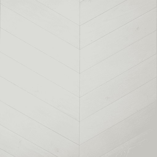 Bertus Van Dijk Hongaarse punt 60 12x52 cm