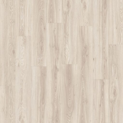 Black Jack Oak 22205