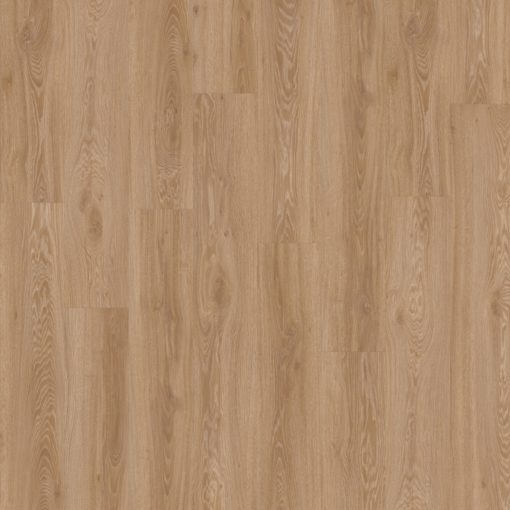 Blackjack Oak 22450