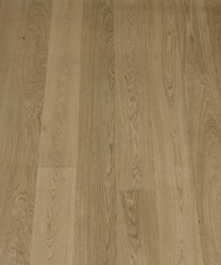 4850 8718848199504 u2