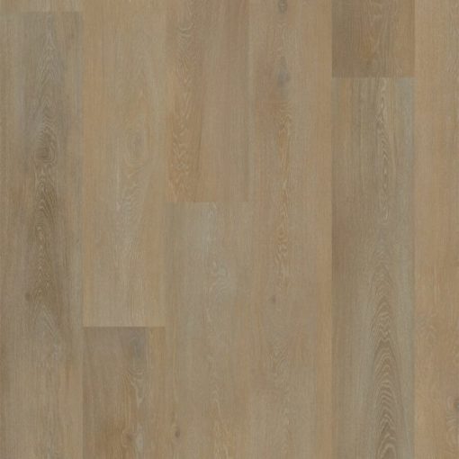 bolsena plank