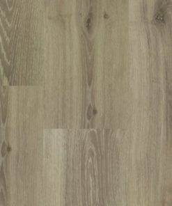 Chamonix Lange plank 54813 (2) (1)