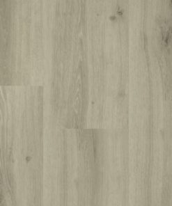Chamonix Lange plank 54814 (2) (1)