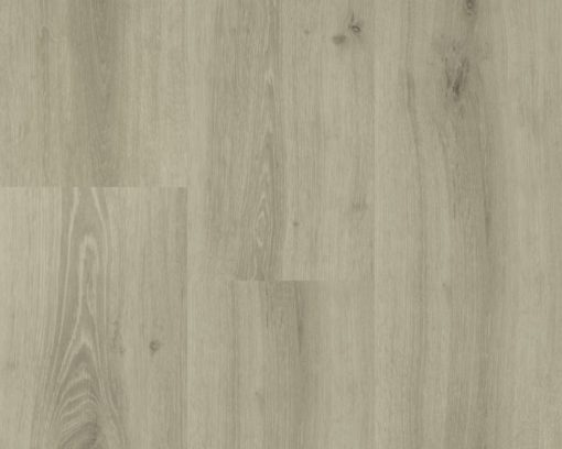 Chamonix Lange plank 54814 (2) (1)