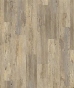 9075511119 9075511119 1