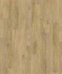 9075511519 9075511519 1