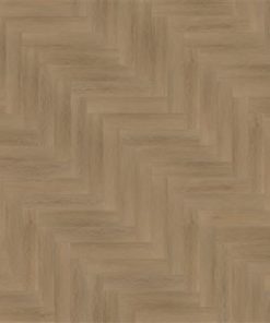 6201101119