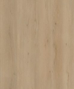 6096182419 thumb acad