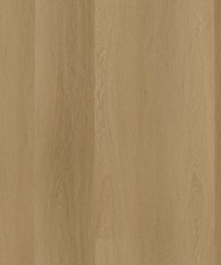 6511161419 thumb 4182 (1)