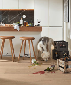 8922 HD400 ultramattlackiert Hund 03 600x900