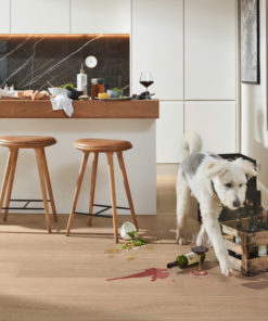 8922 HD400 ultramattlackiert Hund 06 600x900