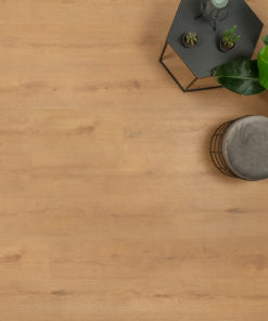 Floer Bossen PVC vloer Noordlaarderbos Natuur Eiken sfeer bovenaf