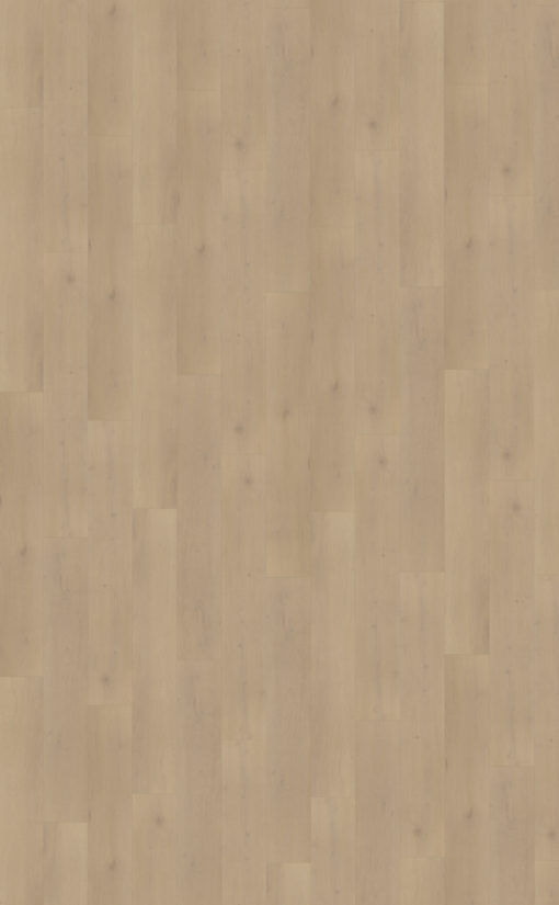 Belakos PVC Palazzo 770 topview