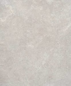 COQUILLE GRIS 120X120