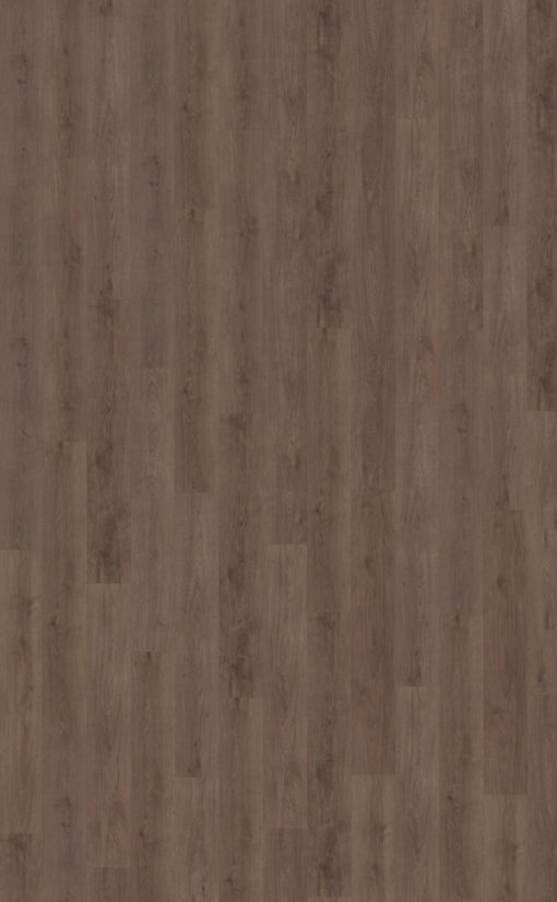 Monastro 900 topview