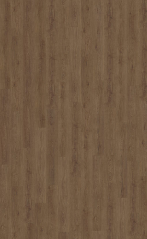 Monastro 910 topview (1)