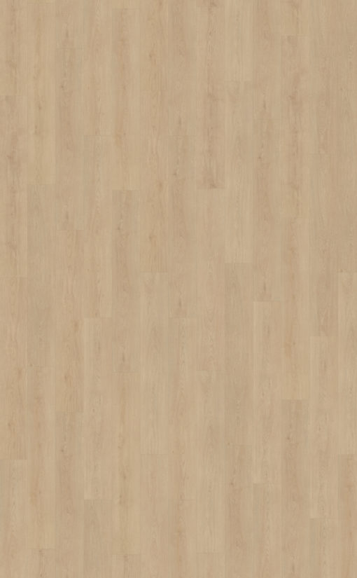 Monastro 920 topview