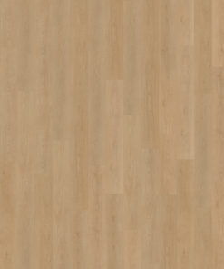 Monastro 930 topview
