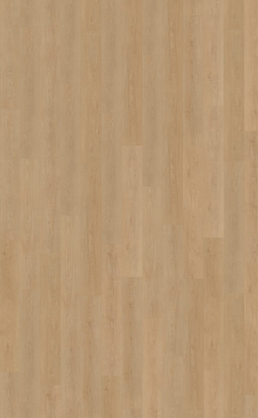 Monastro 930 topview