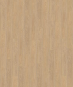 Terreno 610 topview (1)