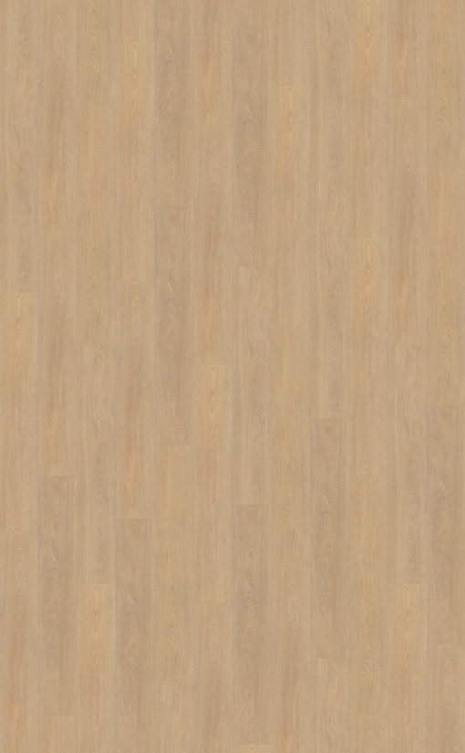 Terreno 610 topview (1)