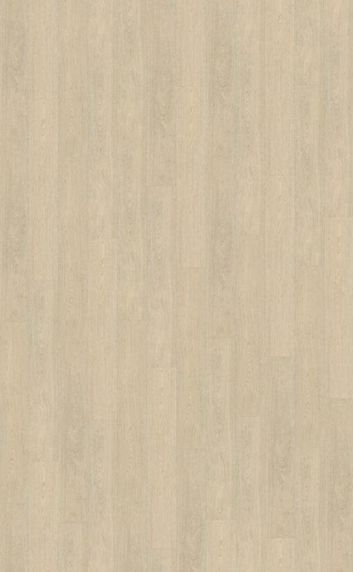 Terreno 620 topview (1)