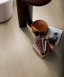 6200100619 72472 aca7